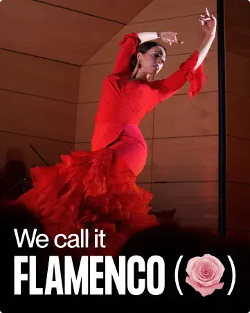 We Call It Flamenco